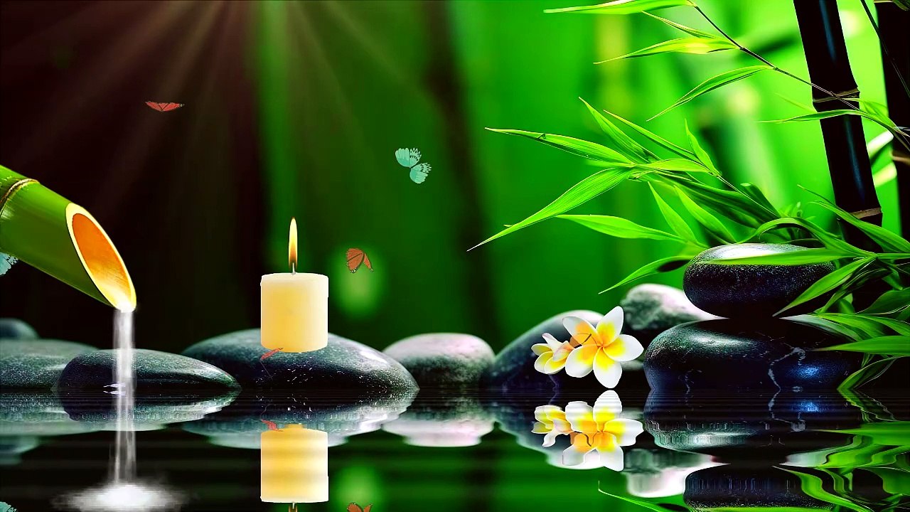 Free background videos - 4K  Bamboo, stone still life, lake & spa concept