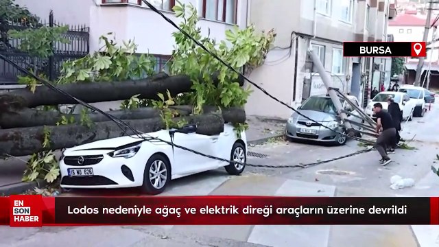 Bursa'da lodos nedeniyle ağaç ve elektrik direği araçların üzerine devrildi