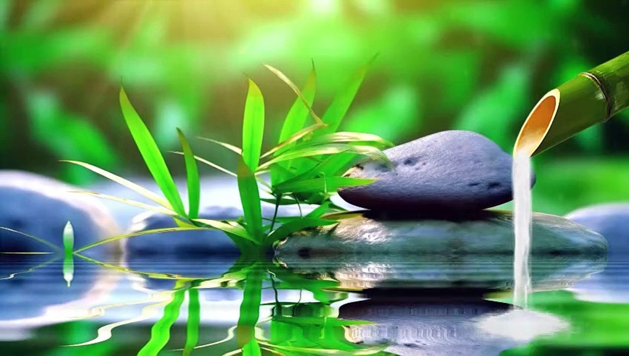 Free background videos - 4K |  bamboo, stone, lake, spa concept and beautiful nature
