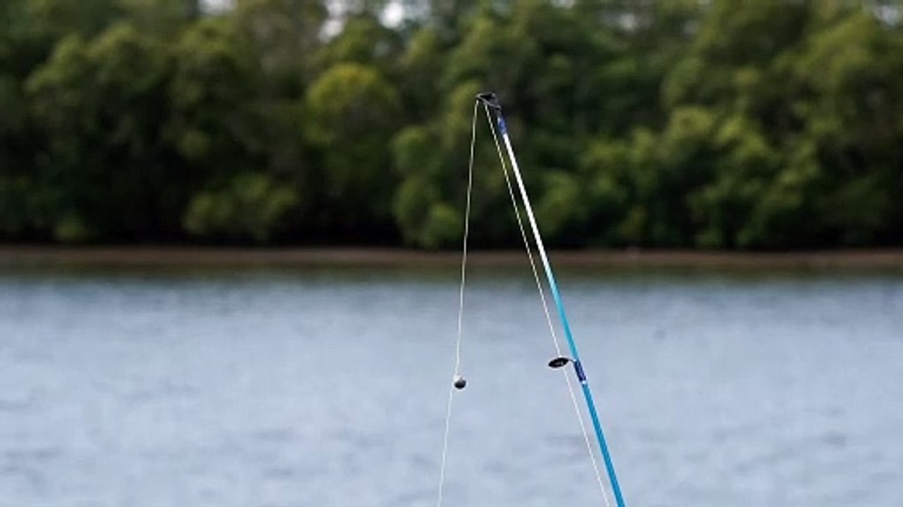 https://fishingrodworld.com/