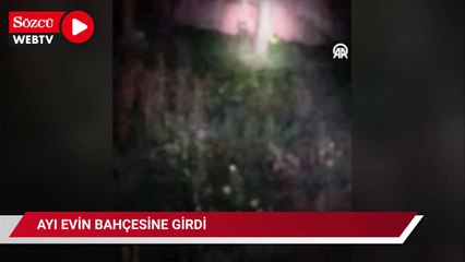 Download Video: Evin bahçesine giren ayı cep telefonu kamerasında