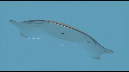 Lenti ICL, un meeting di oculisti a Milano per approfondire i vantaggi