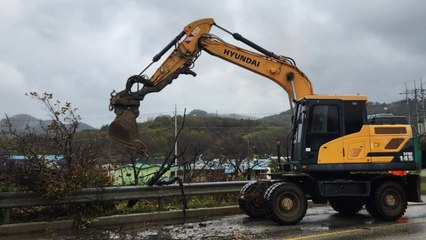 '강풍 특보' 대전·세종·충남 피해 잇따라...1명 경상 / YTN