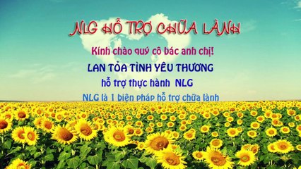THỰC HÀNH 4 CT LỚP 3 NLG(liên tiếp)  - CHO 40T TRỞ LÊN - NLG ENERGY UNIVERSITY