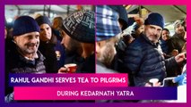 Rahul Gandhi Serves Tea To Pilgrims Waiting For Darshan At Kedarnath Temple