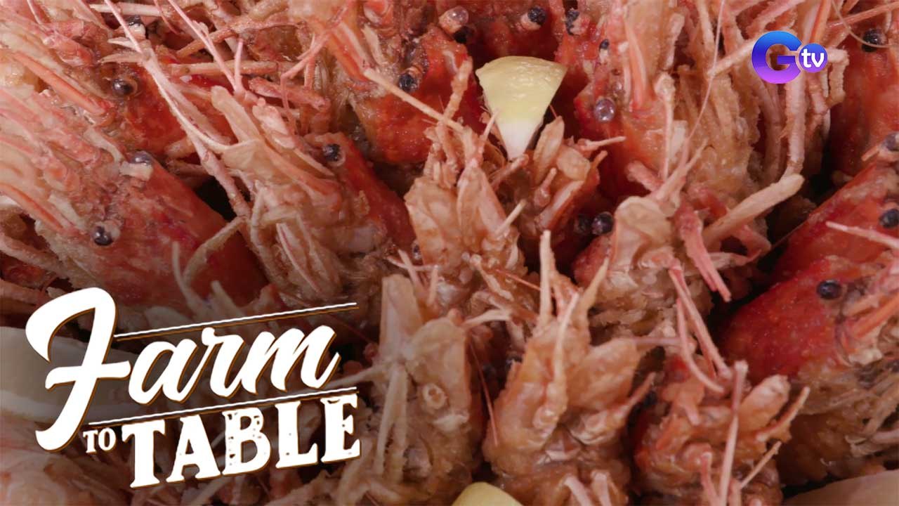 Food Exploration - Crispy Ulang | Farm To Table