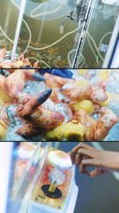 Event - Ouverture du restaurant Poulet Braisé de Chatelet