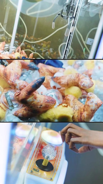 Event - Ouverture du restaurant Poulet Braisé de Chatelet