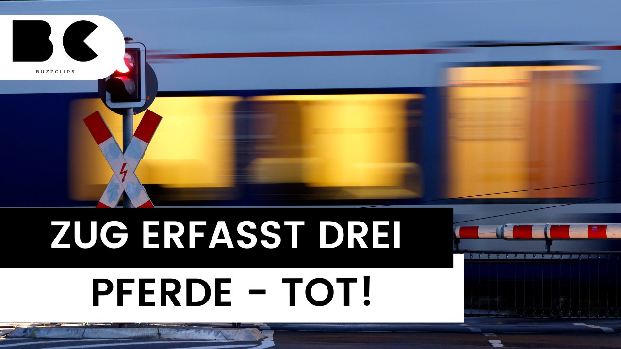 Sauerland: Zug erfasst drei Pferde – tot!