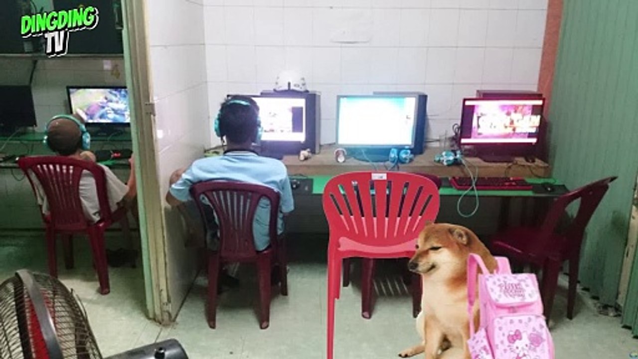 HỌC VÀ CHƠI