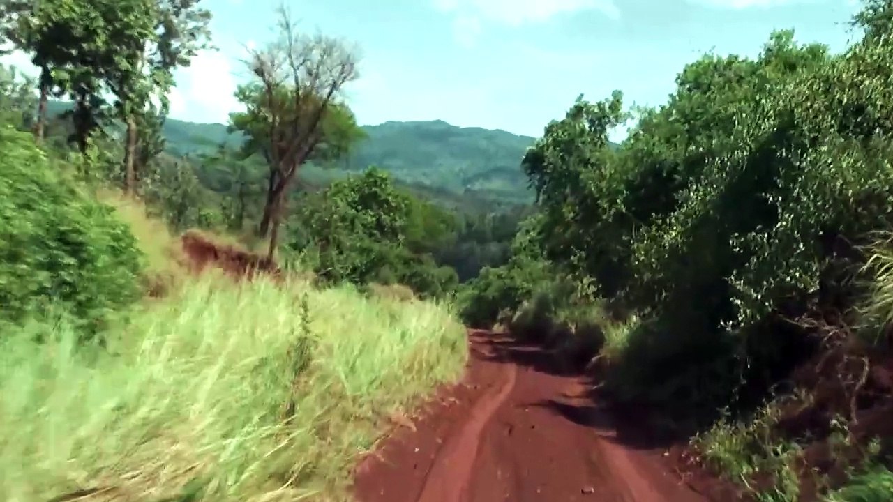 African safari