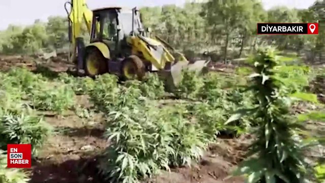 Diyarbakır'da uyuşturucu operasyonu: Terör örgütünün finans kaynağına darbe vuruldu