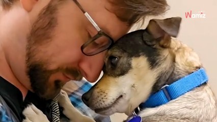 Abandonné par sa famille après 11 ans de vie commune, ce chien était submergé par le stress