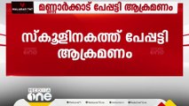 പാലക്കാട് സ്‌കൂളിനകത്ത് പേപ്പട്ടി ആക്രമണം: ആറാം ക്ലാസ് വിദ്യാർത്ഥിക്ക് പരിക്ക്