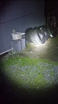 Homem é preso após furtar carga de pneus, furar bloqueio e trocar tiros com a PM