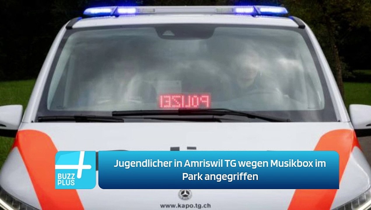 Jugendlicher in Amriswil TG wegen Musikbox im Park angegriffen