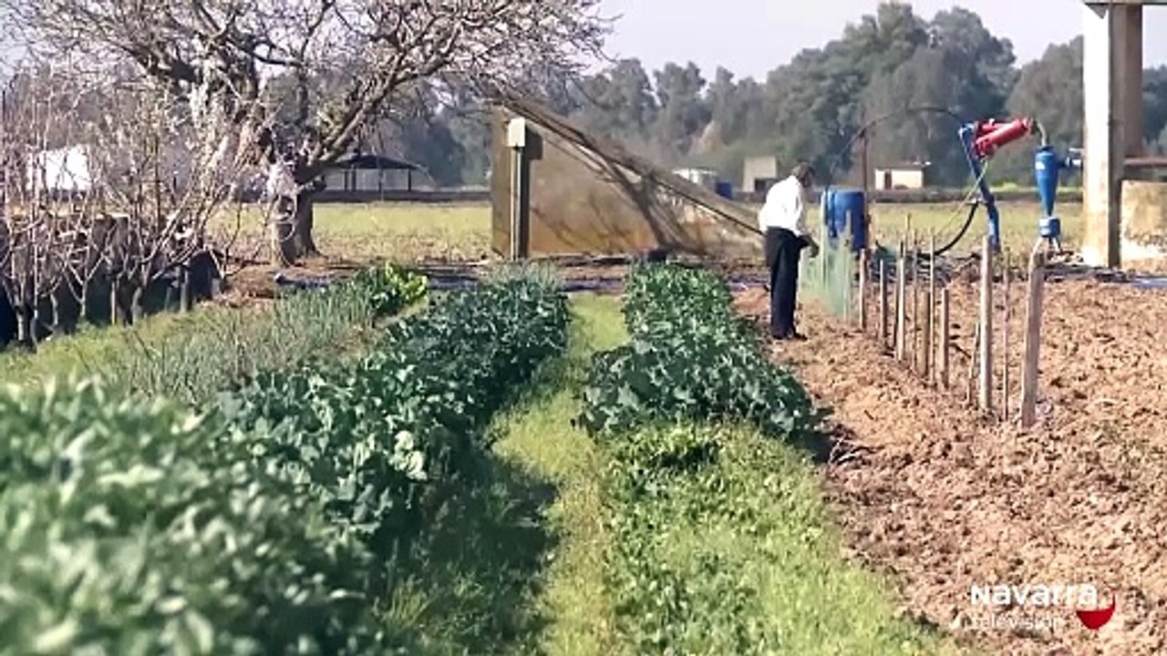 VTR AGRO_VTR_202185_1