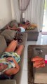 Pup Joins Parents For Nap on Couch