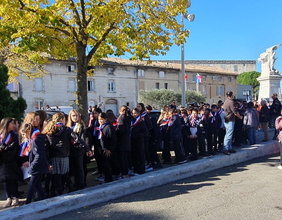 Défilé de la cérémonie du 11 novembre 2023