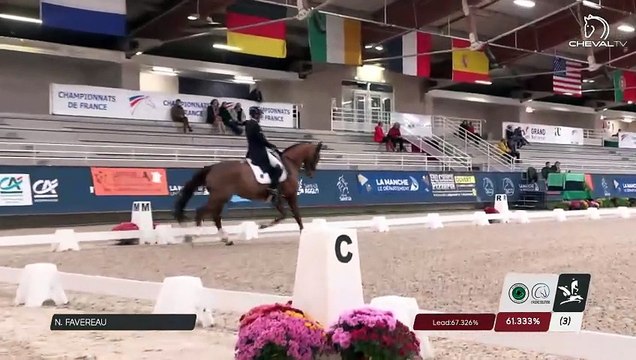 Grand National FFE - AC Print - Dressage | Saint-Lô (FRA) | Nicole FAVEREAU | DOCTEUR JEKYLL Z