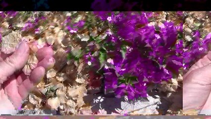 Exploring France. A walk from Nice going east 2017 France 3