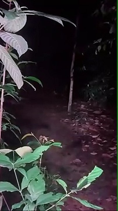 Paranormal activity ghost on camera part 265