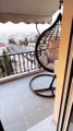 Με κουνιστή καρέκλα, φυτά και το κέντρο στο «πιάτο» - Βίντεο από το διαμέρισμα της Αλεξάνδρας Παναγιώταρου