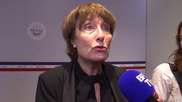 Marie-Pierre de la Gontrie (PS) défend la régularisation dans les métiers en tension