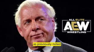 Ric Flair believes people are “jealous” that he’s back on television with AEW