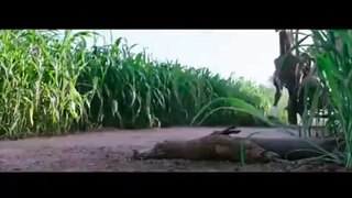 Bahubali Pig Hunting Scene Hindi - Bahubali Hindi Movie - Bollywood Movies - Epic Movie