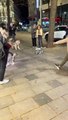 Quand des chiens tombent sur un robot chien... Flippant