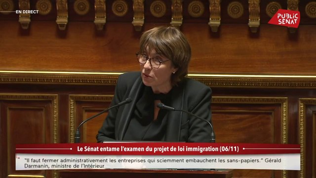 Vous n’êtes pas prêt ! : Marie-Pierre de la Gontrie épingle le parcours du texte immigration