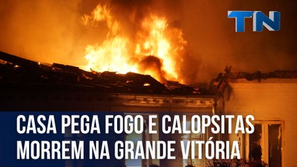 Casa pega fogo e calopsitas morrem na Grande Vitória