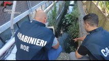 Sversavano rifiuti pericolosi nel fiume Sarno, 3 aziende sotto sequestro a Napoli