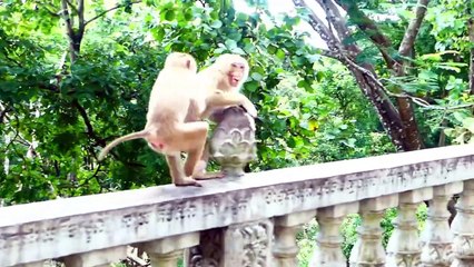 Ah Don't Do Anything Guy!, I Will Give Yo, Sarika Is Afraid Of Fellow Rocky