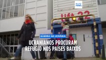 Número de refugiados ucranianos em crescimento nos Países Baixos