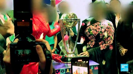 Exclusif : le cricket français face à un scandale de matches fantômes