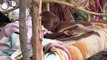 ONU: Mais de 1,6 milhão de crianças em risco de desnutrição no Sudão do Sul