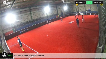 But de Sylvere Soares - THALES