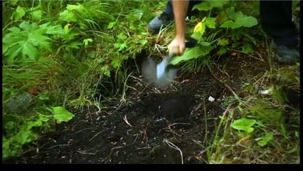 Meurtres insolites  Métamorphose