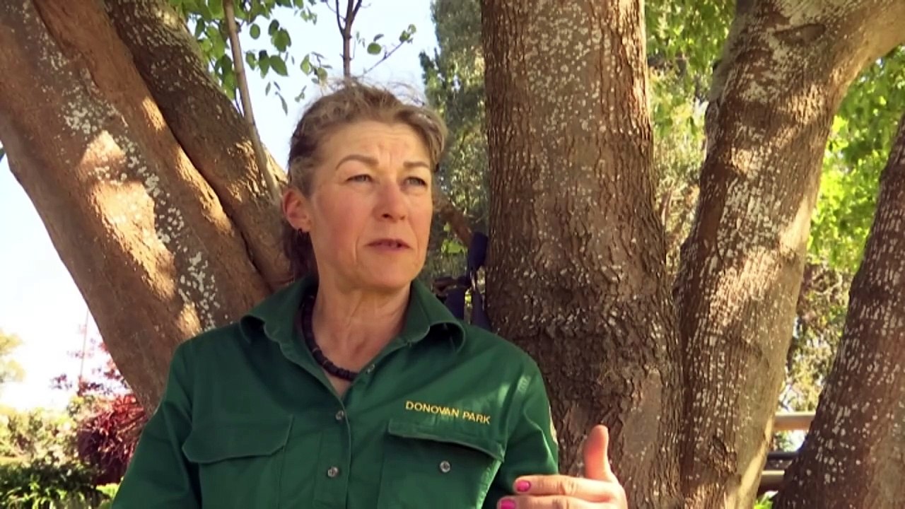 School students in Tasmania have been barred from certain activities