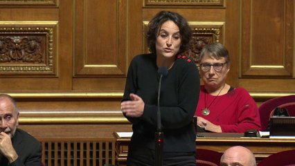 Limitation du regroupement familial: "absurde" pour la sénatrice écologiste Mélanie Vogel