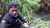 Pemancing ini tak pernah gagal mencari sarang ikan