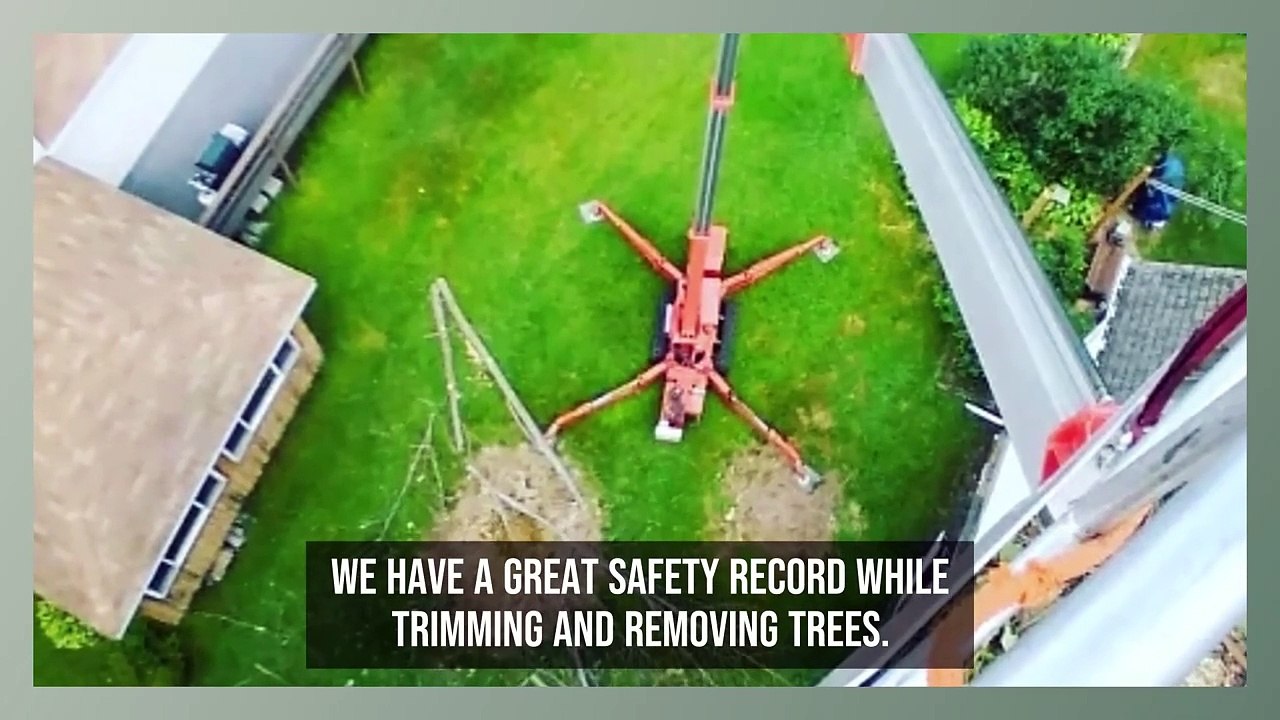 Freeman the Treeman LLC
