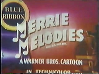 A Tale of Two Kitties