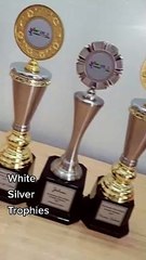 Metal Trophies Are Trending In 2023! YTT Trophy Supplier Malaysia