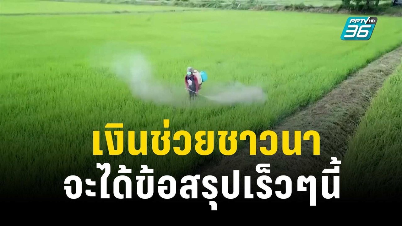 เงินช่วยชาวนาไร่ละ 1,000 บาท จะได้ข้อสรุปเร็วๆนี้ | เที่ยงทันข่าว | 7 พ.ย. 66