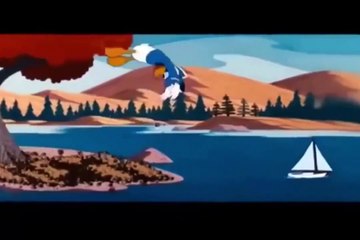 DONALD DUCK! DONALD DUCK and CHIP an DALE s