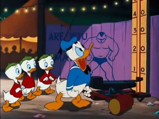 Donald Duck   Canvas Back Duck   Magical Disney 2015