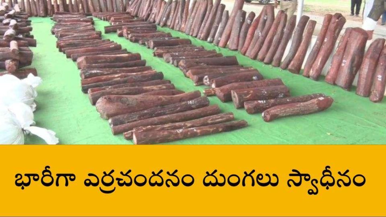 తిరుపతి జిల్లా: ఐదుగురు స్మగ్లర్లు అరెస్ట్... ర...